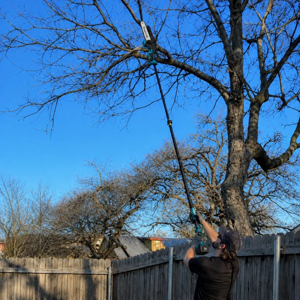 TreeCut con asta telescopica su ramo alto